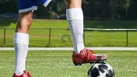 壹号娱乐网页版 产品 114646 347