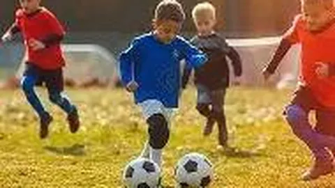 紫薇潜力无限，教练强调成长与阵容调整迫在眉睫